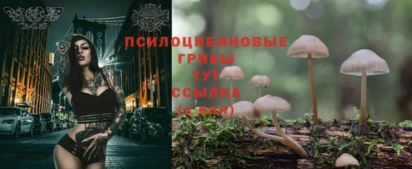 мяу мяу кристалл Переславль-Залесский