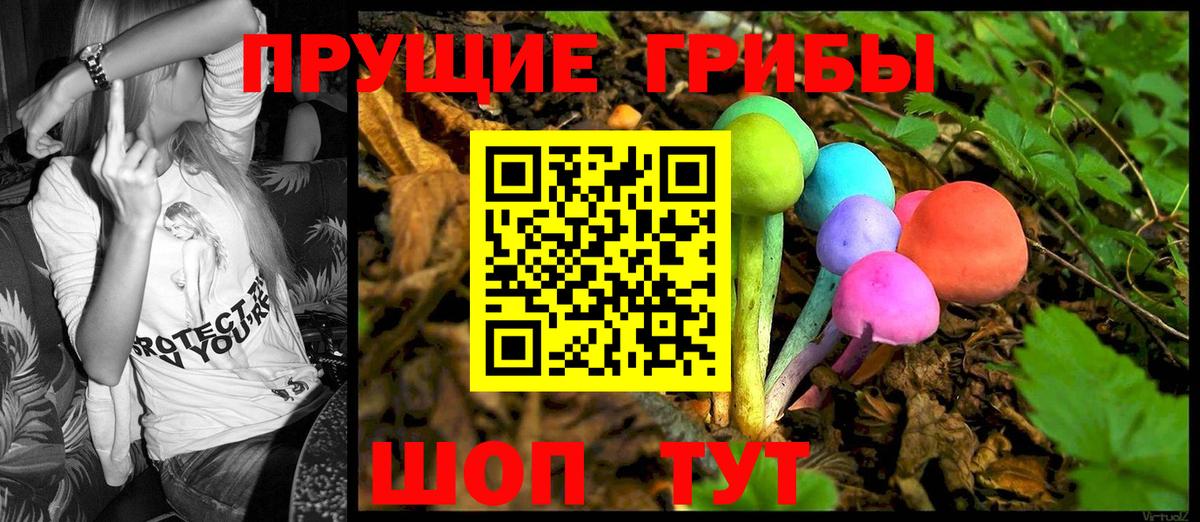 Галлюциногенные грибы Psilocybine cubensis Чебоксары