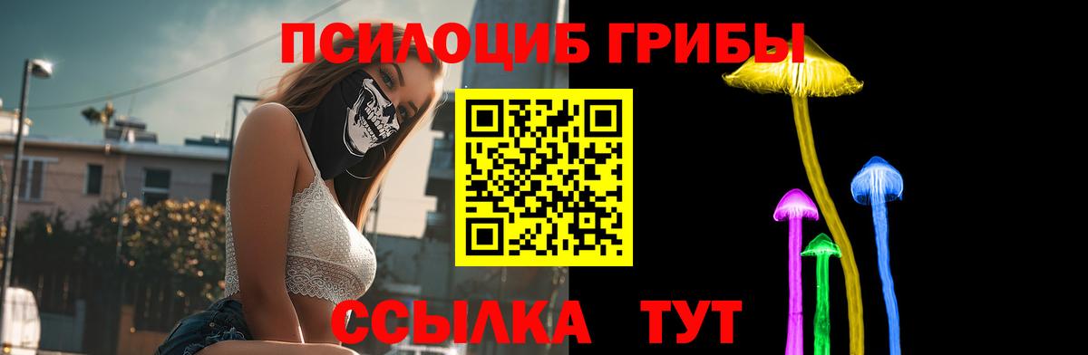 Чебоксары  Псилоцибиновые грибы Psilocybe  Вход с VPN 